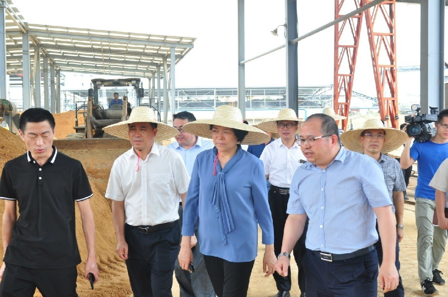 自治區(qū)黨委常委、副主席嚴(yán)植嬋一行蒞臨廣西銀億調(diào)研